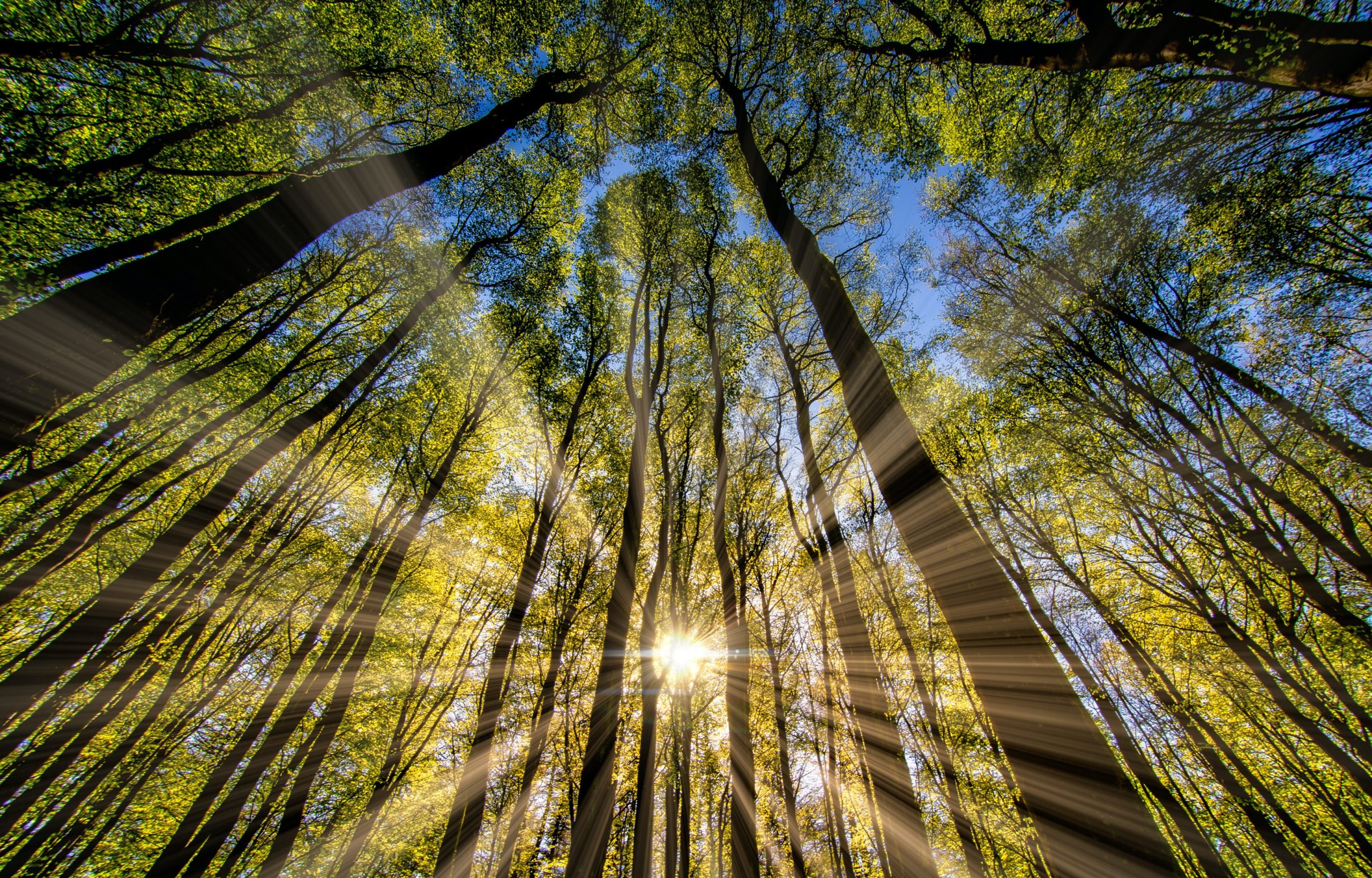 Earth Day 2022 – Let’s Invest in Our Planet!